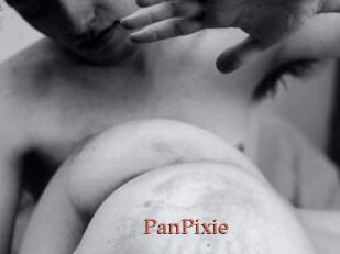 PanPixie