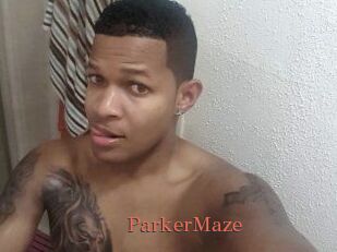 Parker_Maze