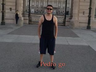 Pedro_go