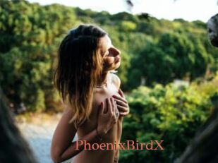 PhoenixBirdX