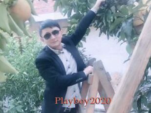 Playboy2020