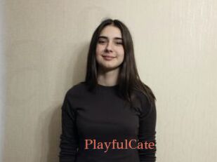 PlayfulCate