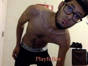 PlayfulJoe
