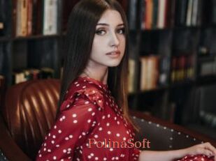 PolinaSoft