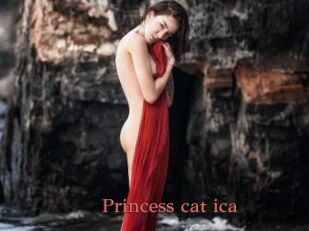 Princess_cat_ica