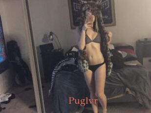 Puglvr