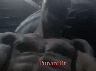 PunaniDr