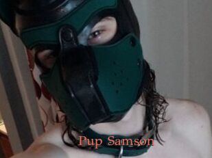 Pup_Samson
