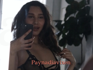 Paynadiavixen