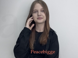 Peacebigge