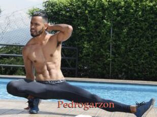 Pedrogarzon