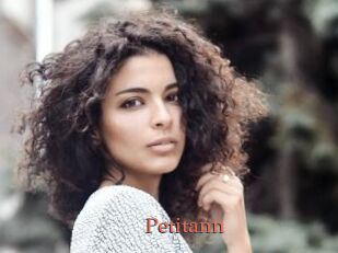 Petitann
