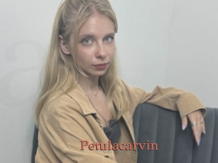 Petulacarvin
