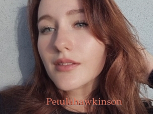 Petulahawkinson