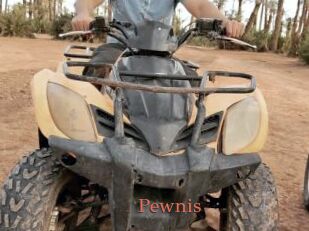 Pewnis