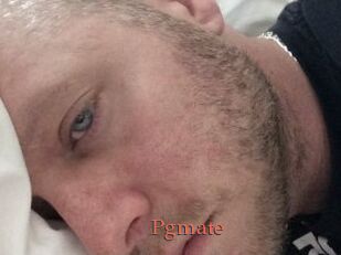 Pgmate
