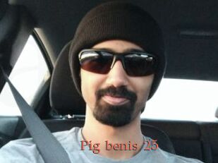 Pig_benis_25