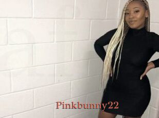 Pinkbunny22