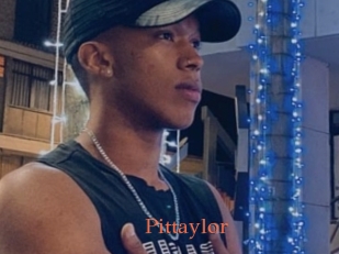pittaylor Anal Favorite
