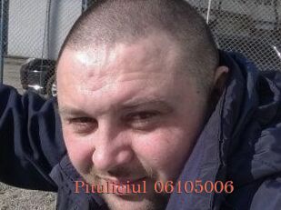 Pituliciul-06105006