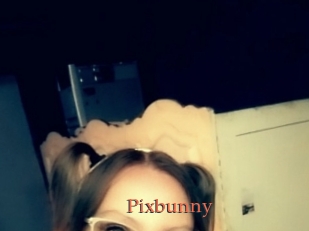 Pixbunny