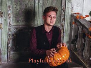 Playfulboydavid