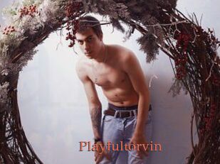 Playfultorvin