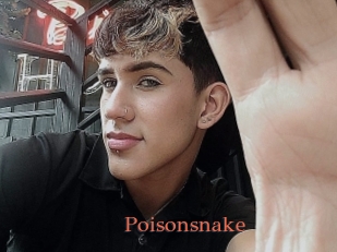 Poisonsnake