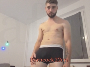 Porncock22cm