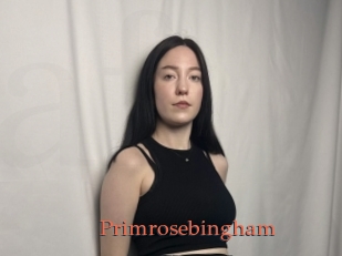 Primrosebingham