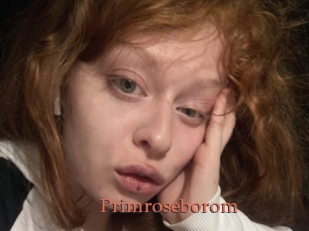 Primroseborom