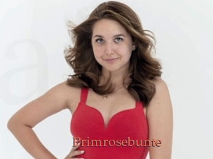 Primrosebunte
