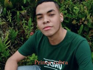 Prince_cobra