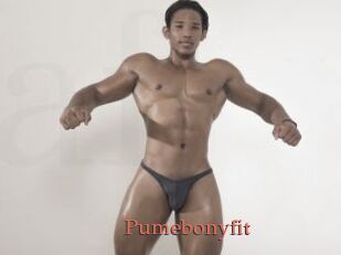 Pumebonyfit