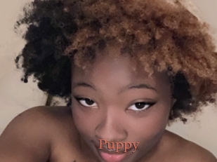 Puppy