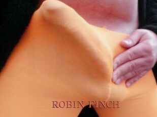 ROBIN_FINCH