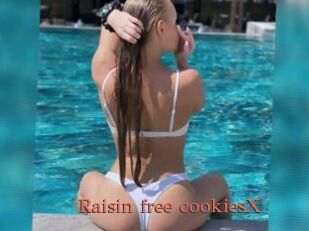 Raisin_free_cookiesX