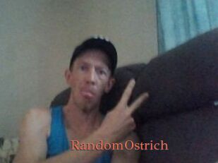 RandomOstrich