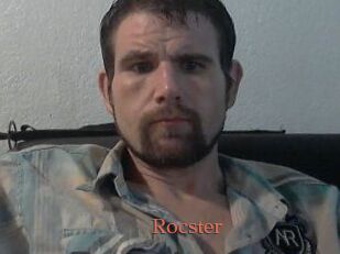 Rocster