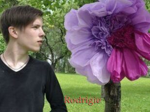 Rodrigie