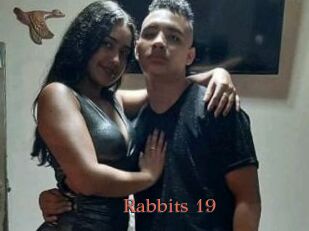 Rabbits_19