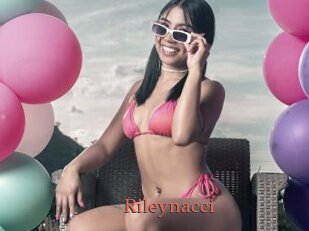 Rileynacci