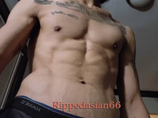 Rippedasian66
