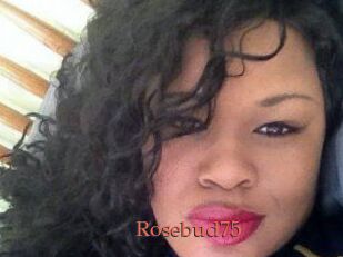 Rosebud75