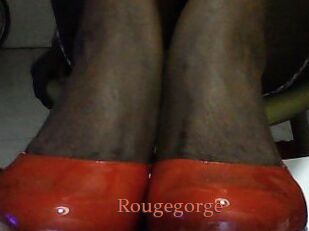Rougegorge