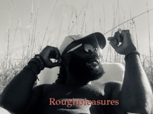 Roughpleasures