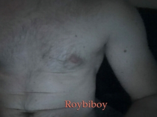 Roybiboy
