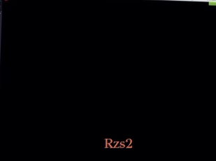 Rzs2
