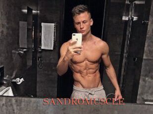 SANDRO_MUSCLE