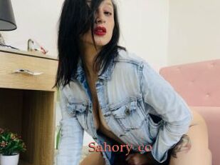 Sahory_co